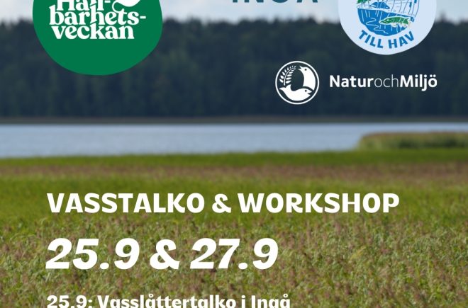 Vasstalko & workshop featured image