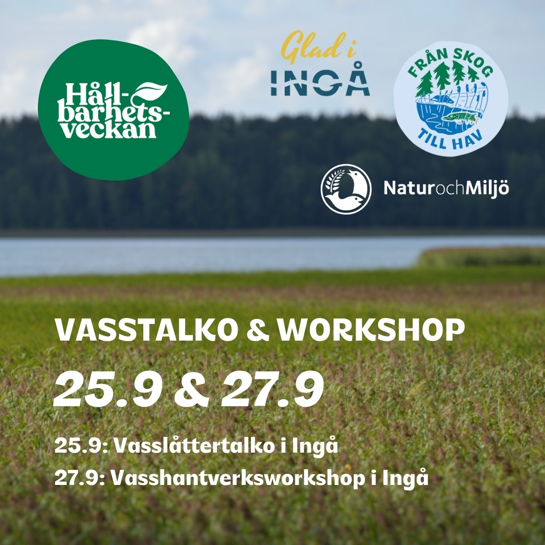 Vasstalko & workshop featured image