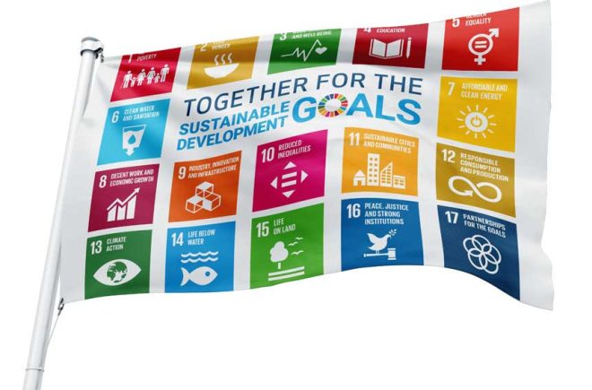 SDG-lippukampanja featured image