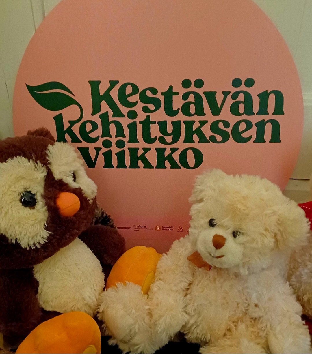 Pehmoeläinbongaus perhepäivähoidon lapsille featured image