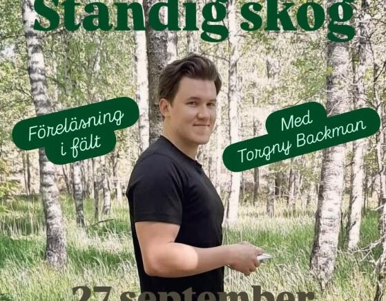 Städig skog featured image