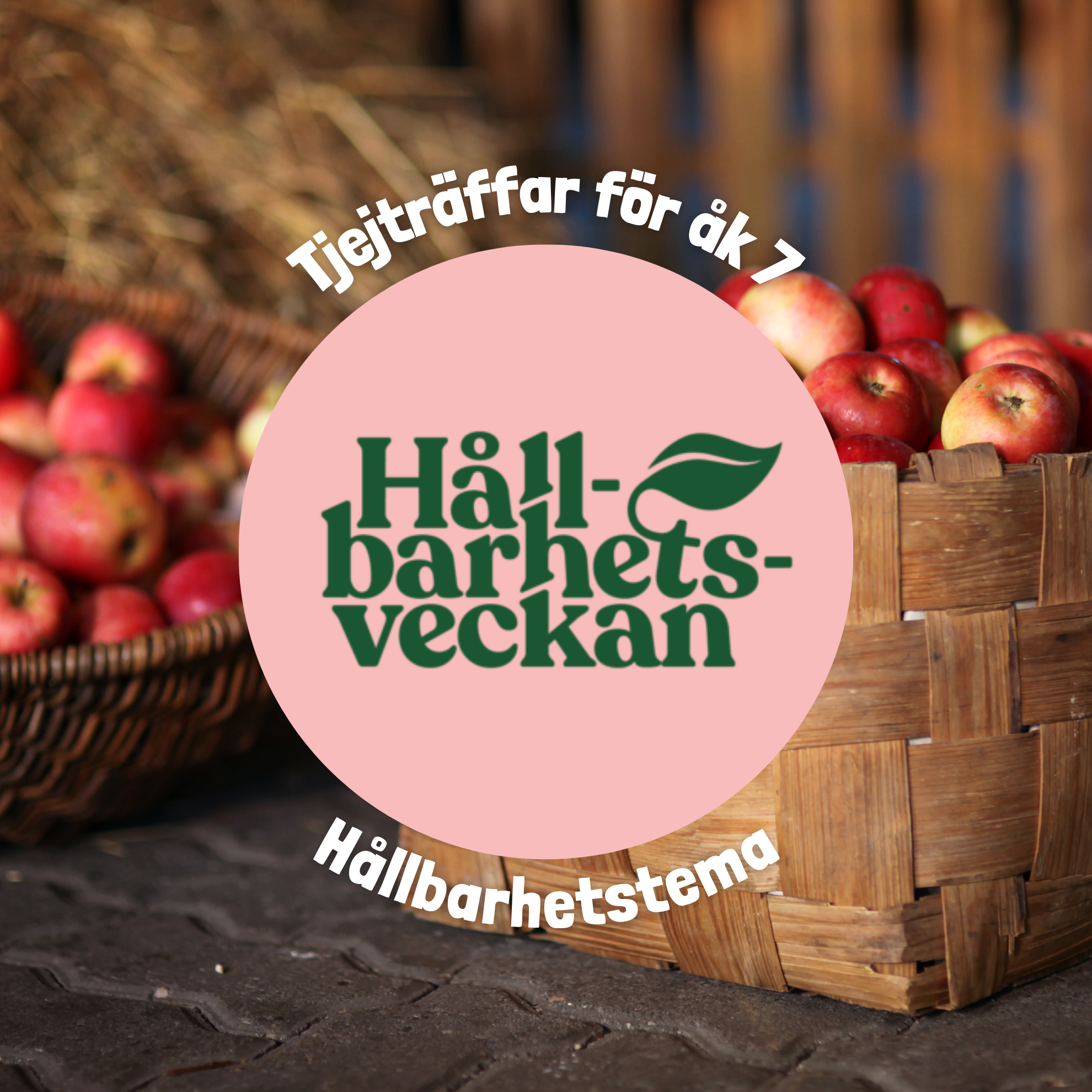 Hållbarhetstema på veckans tjejträff för åk 7 featured image