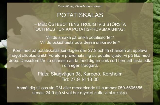 Potatiskalas! featured image