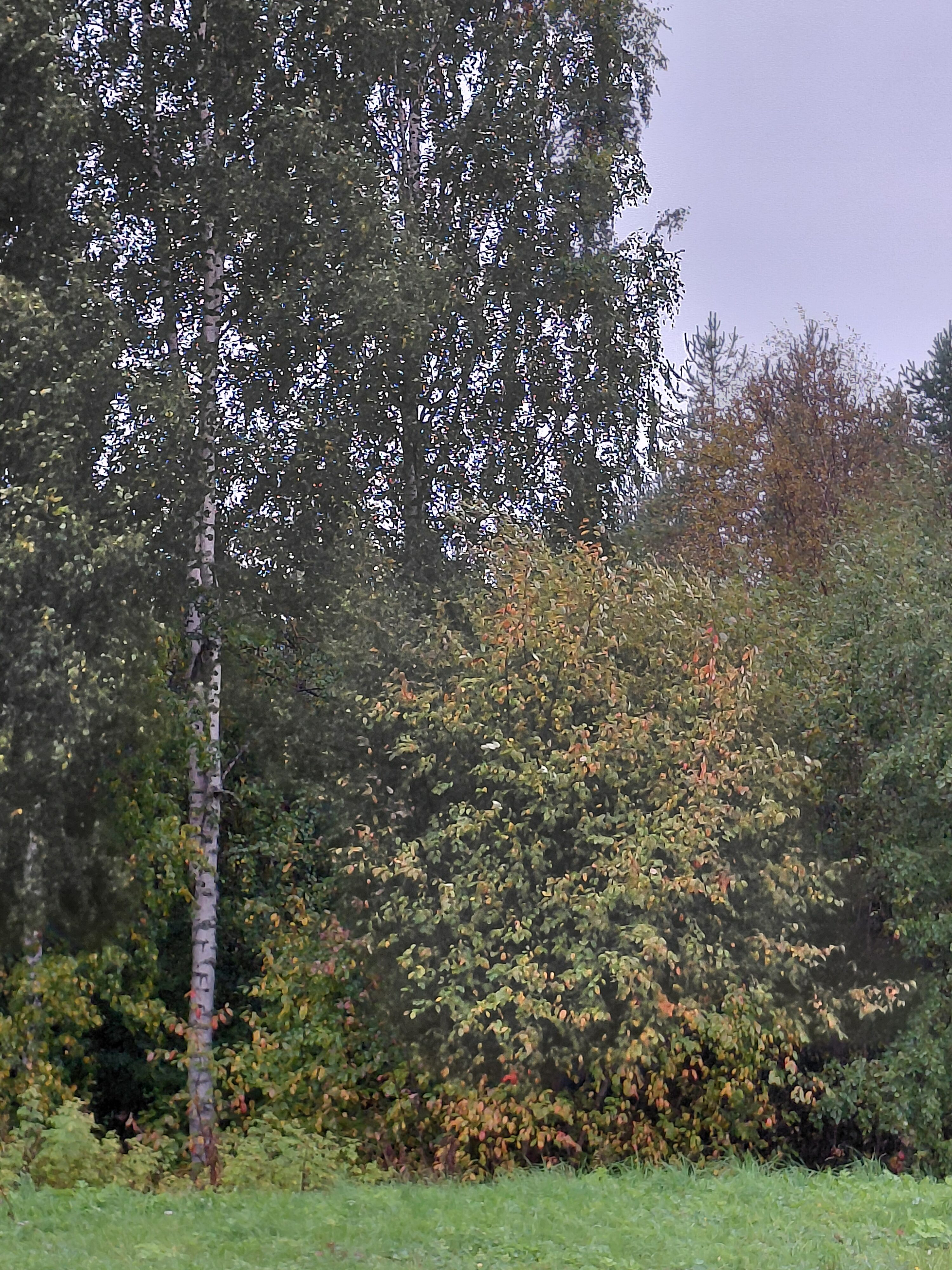 Kestävä kehitys arjessa -haaste (Omatoiminen) featured image