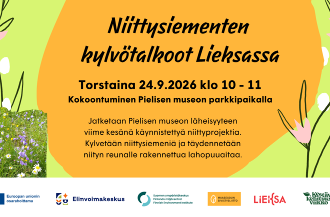 Niittysiementen kylvötalkoot Lieksassa featured image