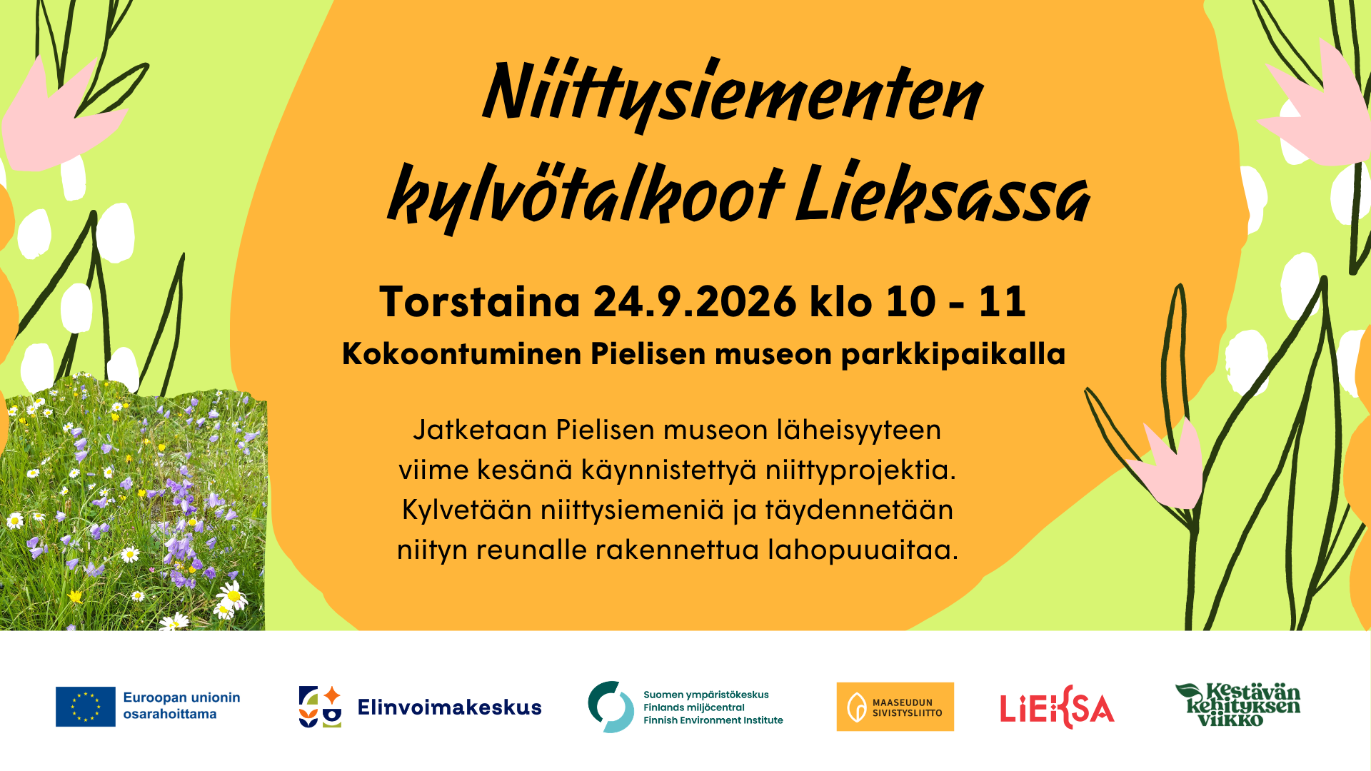 Niittysiementen kylvötalkoot Lieksassa featured image