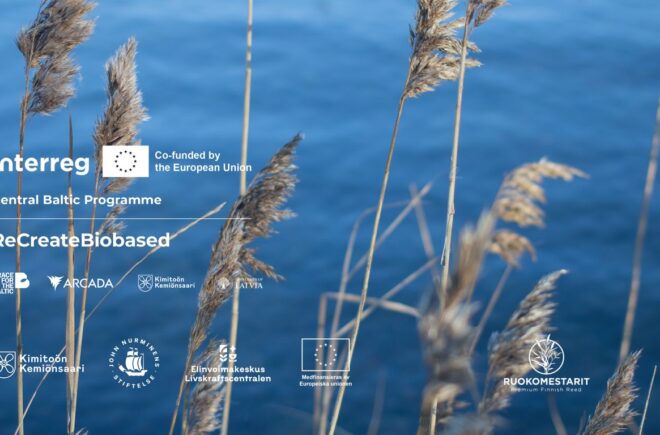Järviruokotapahtuma – Ruokomestareiden avoimet ovet featured image
